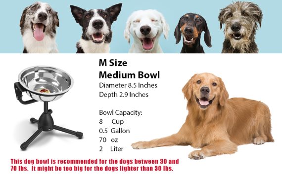 Medium Size Bowl