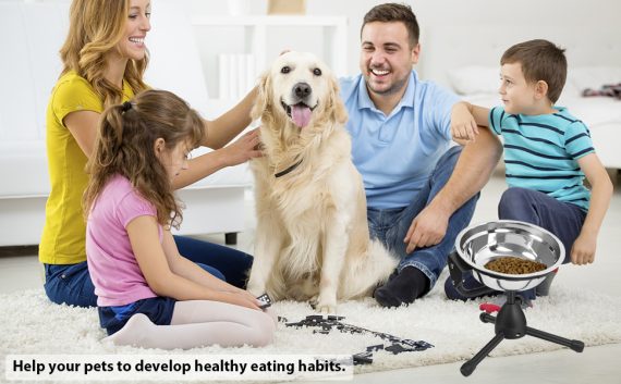 Keep your dog healthy.