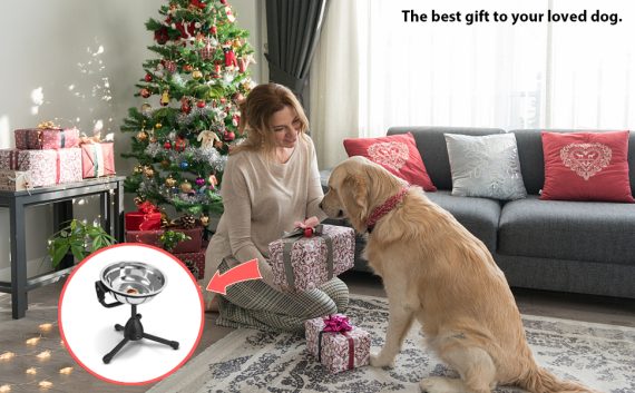 The best gift to your dog.