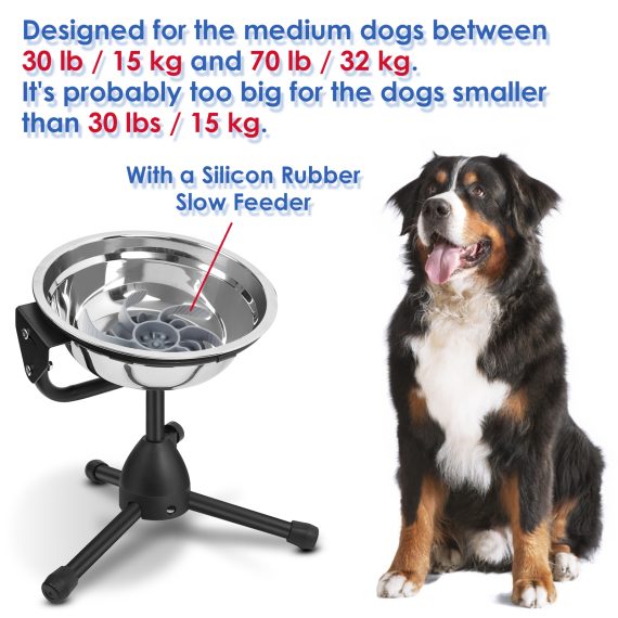 M Size Elevated Dog Bowl With Slow Feeder